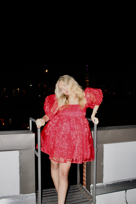 Jean Red Monochromatic Plaid Organza
