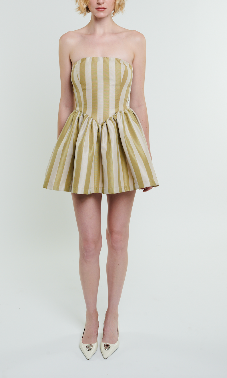 Roxanne Mini Dress in Sage Stripe