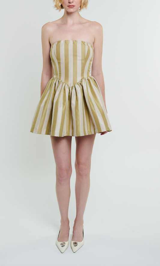 Roxanne Mini Dress in Sage Stripe