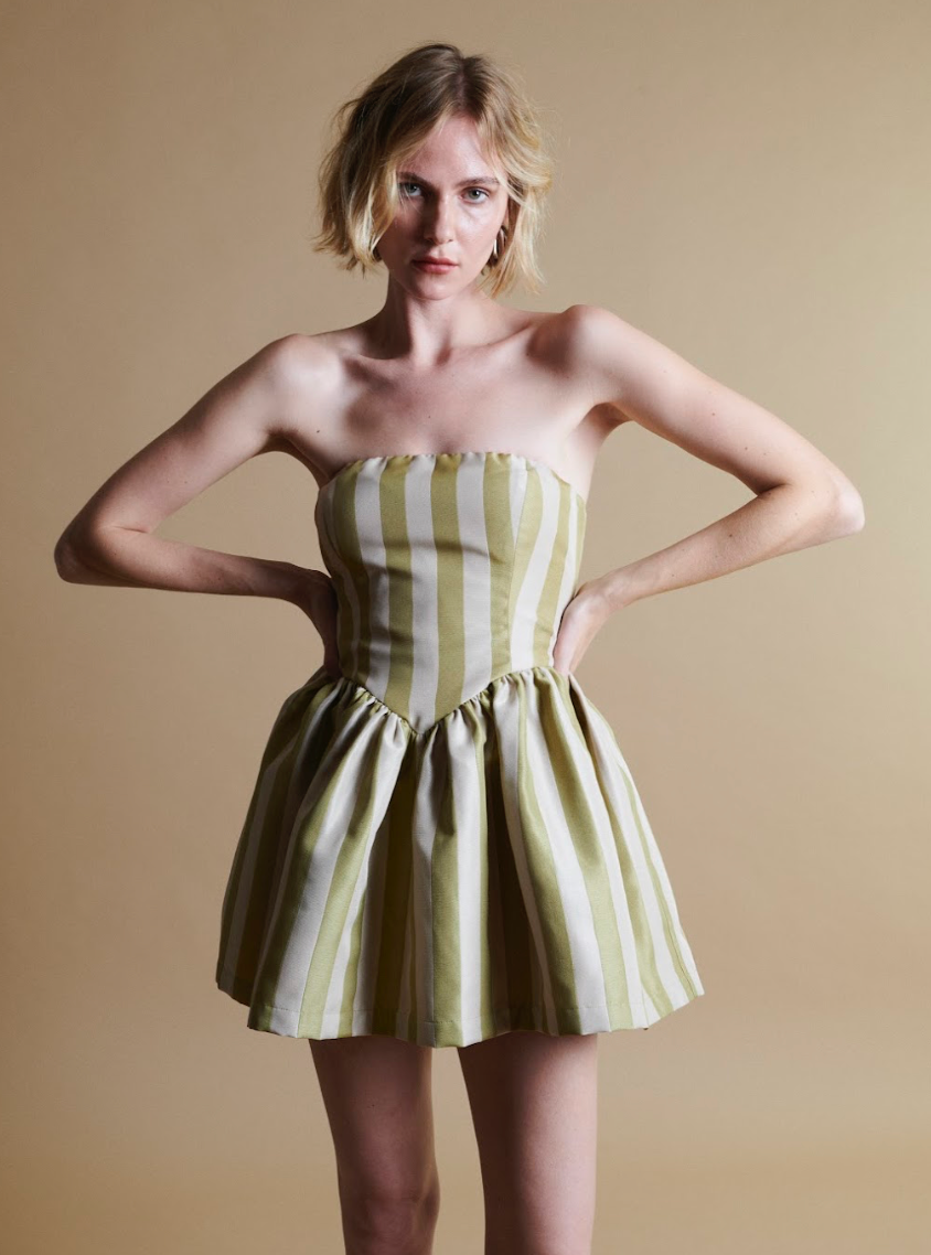 Roxanne Mini Dress in Sage Stripe